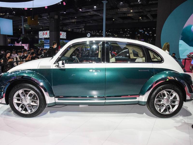 轿车欧拉朋克猫图片 第4张