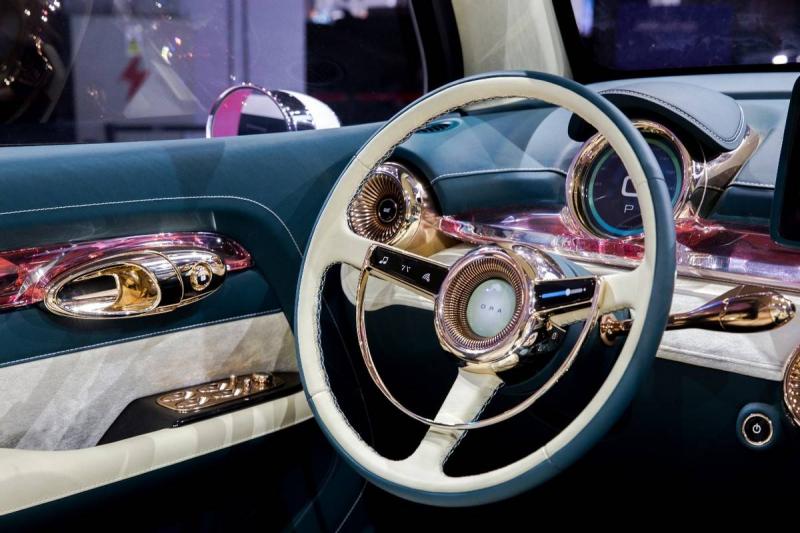 轿车欧拉朋克猫图片 第8张