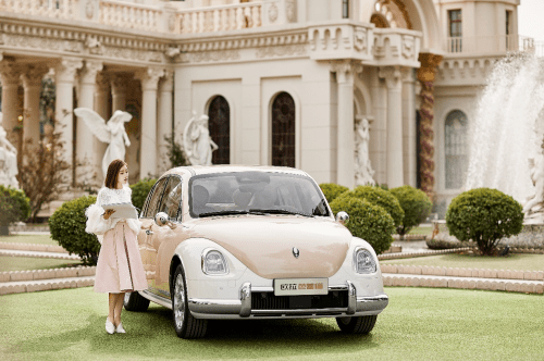 轿车欧拉芭蕾猫图片 第5张