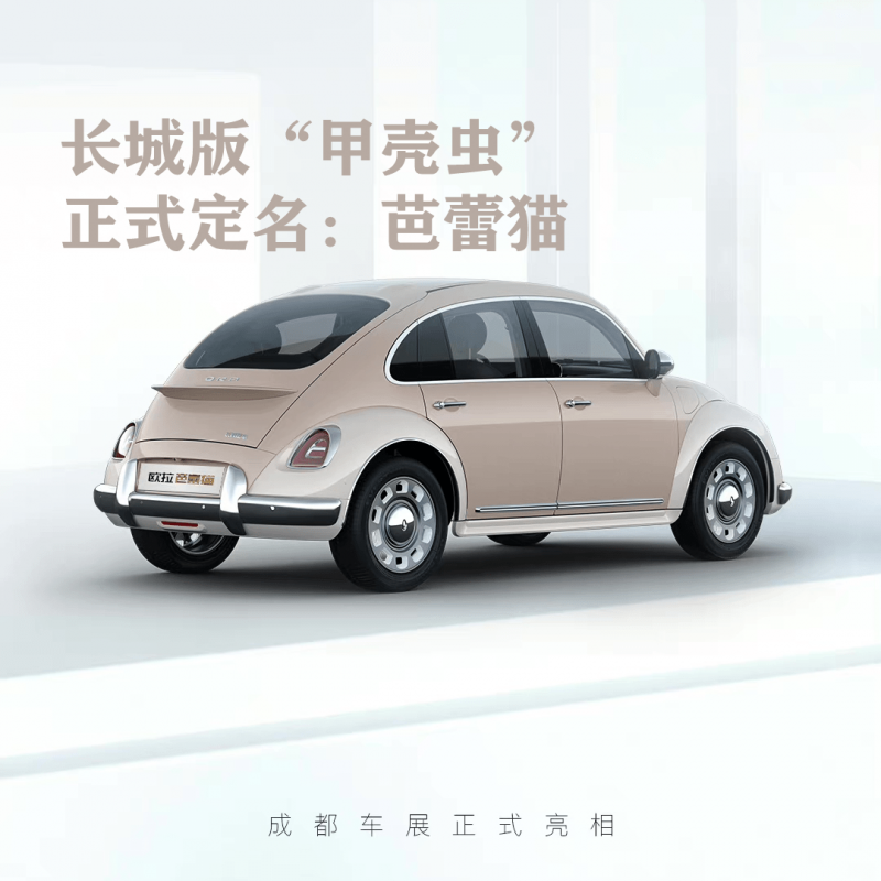 轿车欧拉芭蕾猫图片 第7张