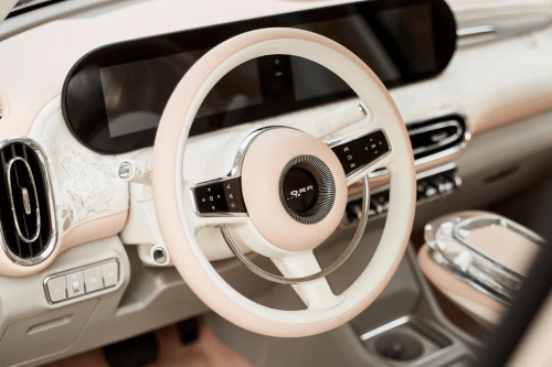 轿车欧拉芭蕾猫图片 第12张