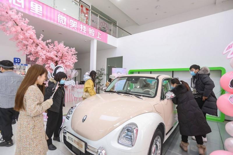 轿车欧拉芭蕾猫图片 第11张