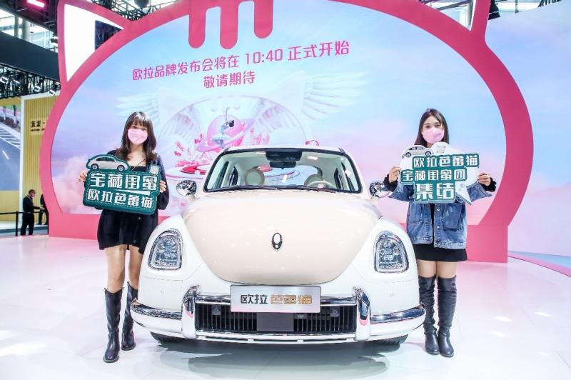 轿车欧拉芭蕾猫图片 第10张