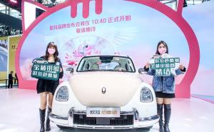 轿车欧拉芭蕾猫图片 第10张