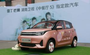 轿车雷丁芒果图片 第6张