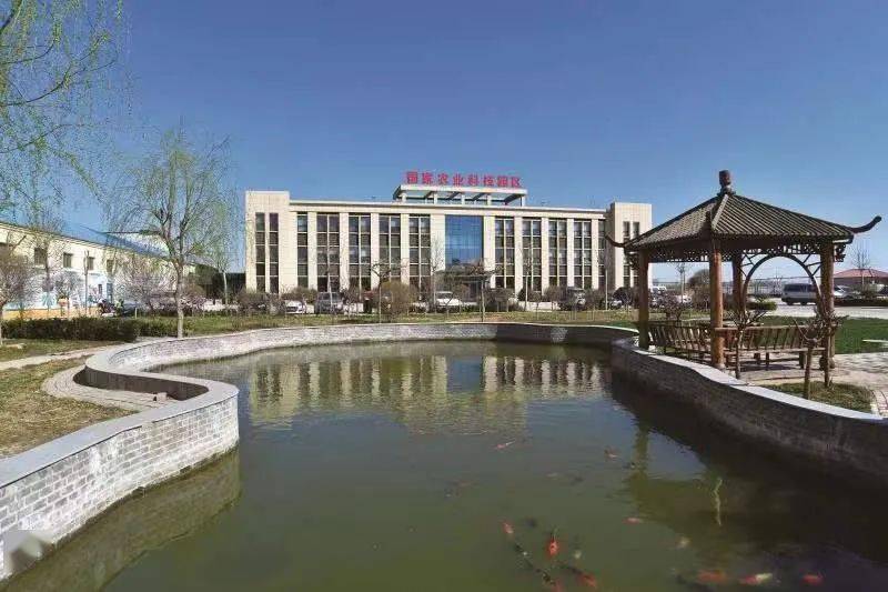辛集市标志性建筑图片 第4张