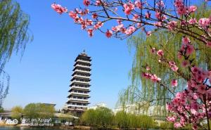 临漳县标志性建筑图片 第2张