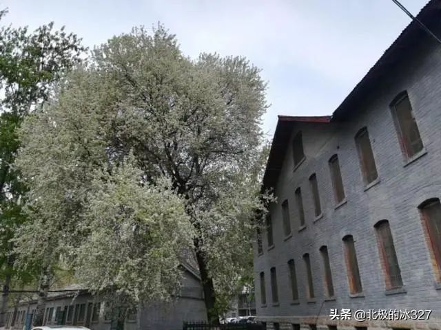 大名县标志性建筑图片 第1张