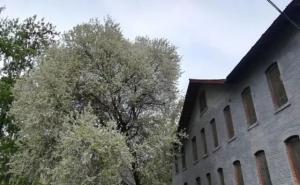 大名县标志性建筑图片