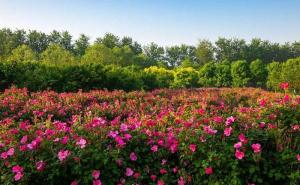 磁县标志性建筑图片 第8张