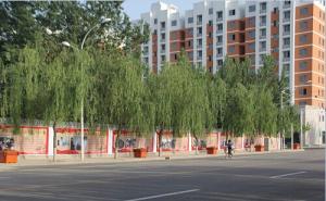 馆陶县标志性建筑图片 第3张