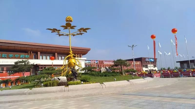 安国市标志性建筑图片 第7张