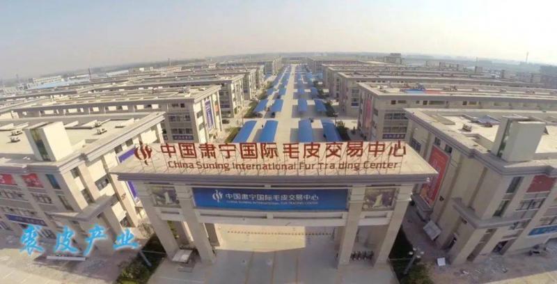 肃宁县标志性建筑图片 第4张