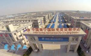 肃宁县标志性建筑图片 第4张