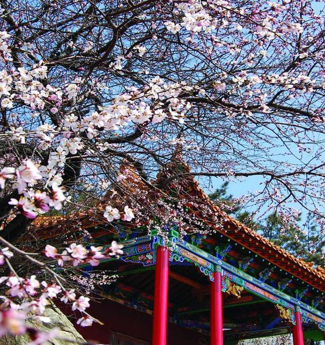 寿阳县标志性建筑图片 第2张