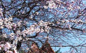 寿阳县标志性建筑图片 第2张