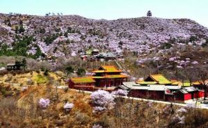 寿阳县标志性建筑图片 第3张