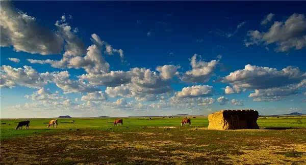 苏尼特右旗标志性建筑图片 第1张