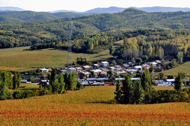 宾县标志性建筑图片 第1张