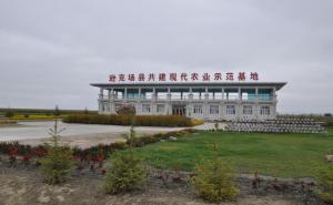 逊克县标志性建筑图片 第2张