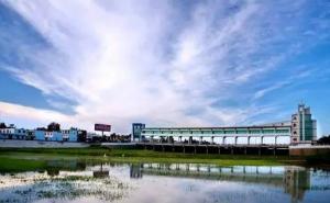 阜南县标志性建筑图片 第3张