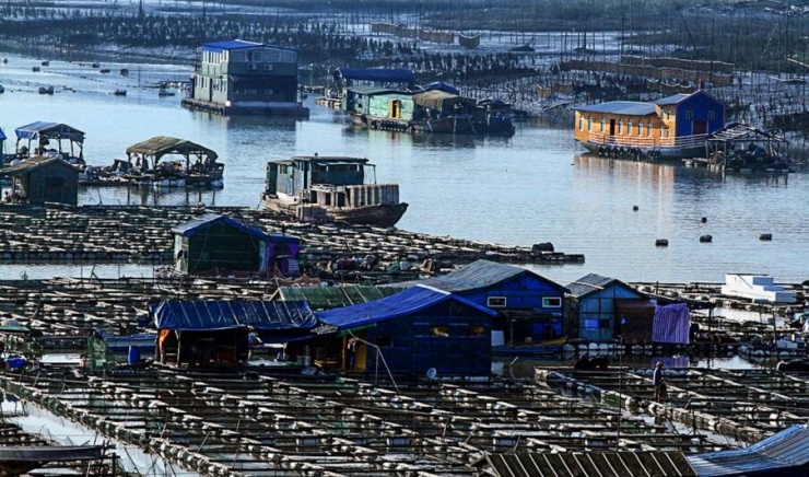 霞浦县标志性建筑图片 第3张