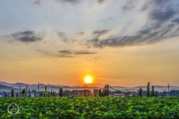 莲花县标志性建筑图片 第2张
