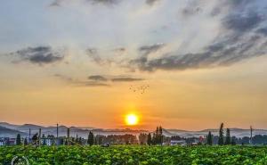 莲花县标志性建筑图片 第2张