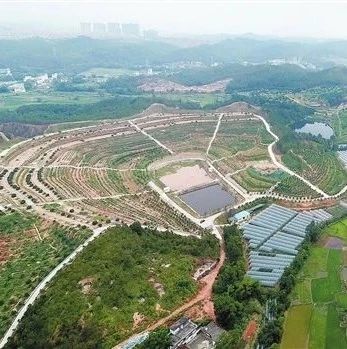 兴国县标志性建筑图片 第2张